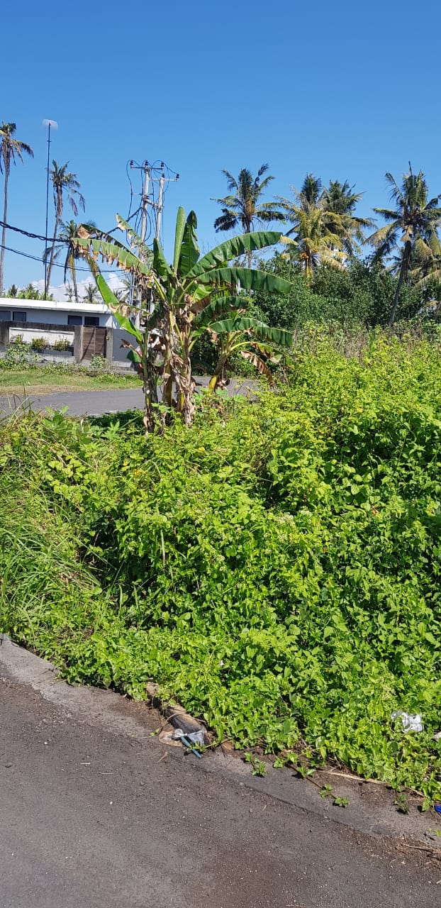 tanah 3 are view pantai di ketewel gianyar bali